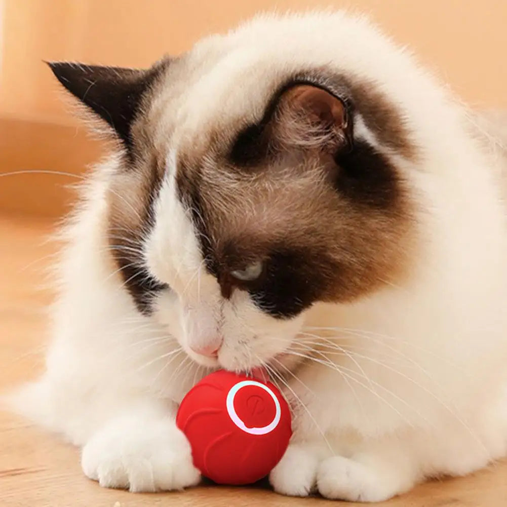 Petty Cat Ball™